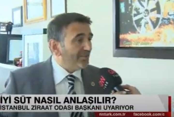 Günlük süt ve hazır süt